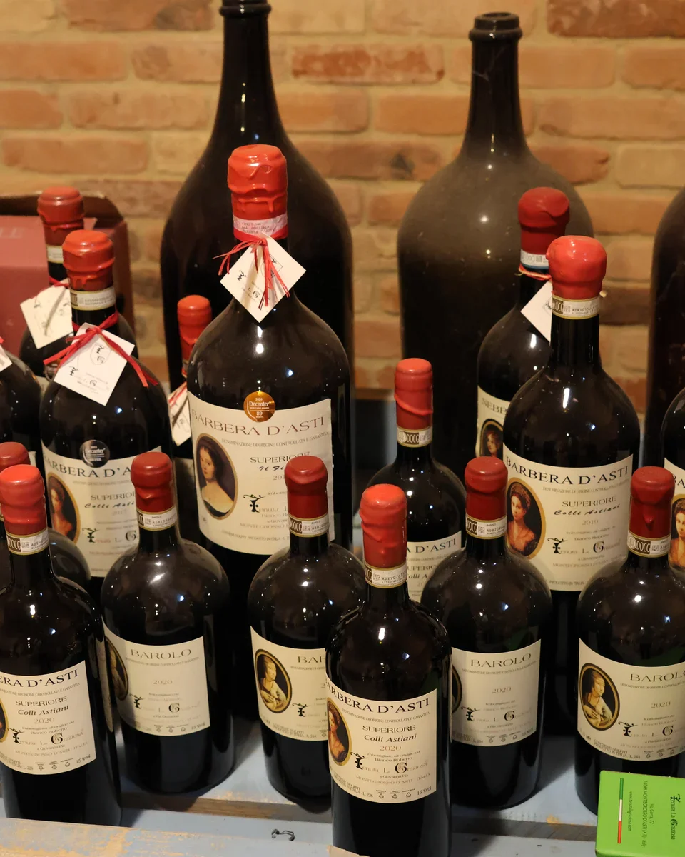 De wijnen van Piëmont, van Ruchè tot Barolo.