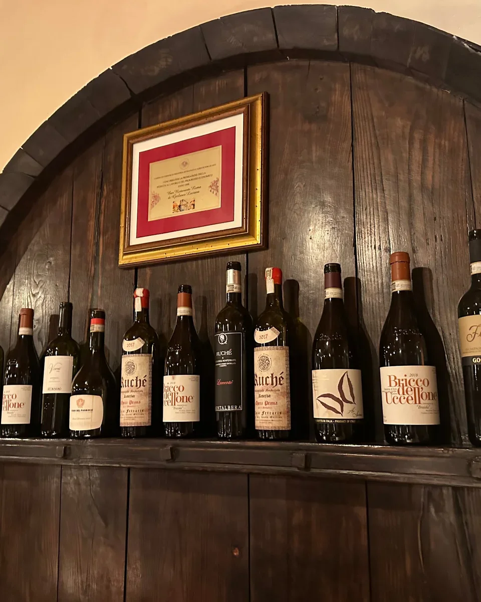 De wijnen van Piëmont, van Ruchè tot Barolo.