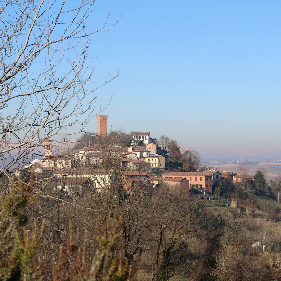 Viarigi op zijn heuvel, met de Torre dei Segnali als baken sinds circa 1320.